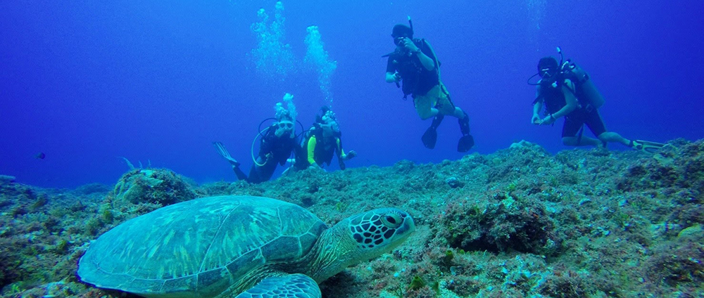 スポーツ プロストリートでダイビングはじめませんか?